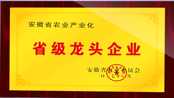 省级龙头企业