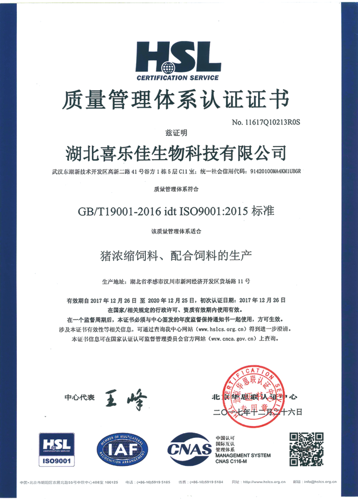 ISO9001认证证书（C）