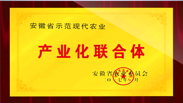产业化联合体
